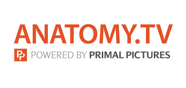 Primal Pictures